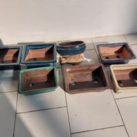 Vasi per bonsai in ceramica