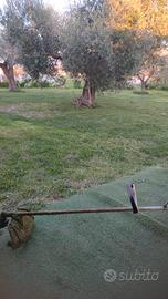 Terreno agricolo