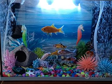 aquario con coperchio 20litri