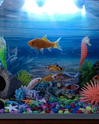 aquario con coperchio 20litri