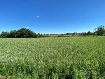 Terreno edificabile Galliate