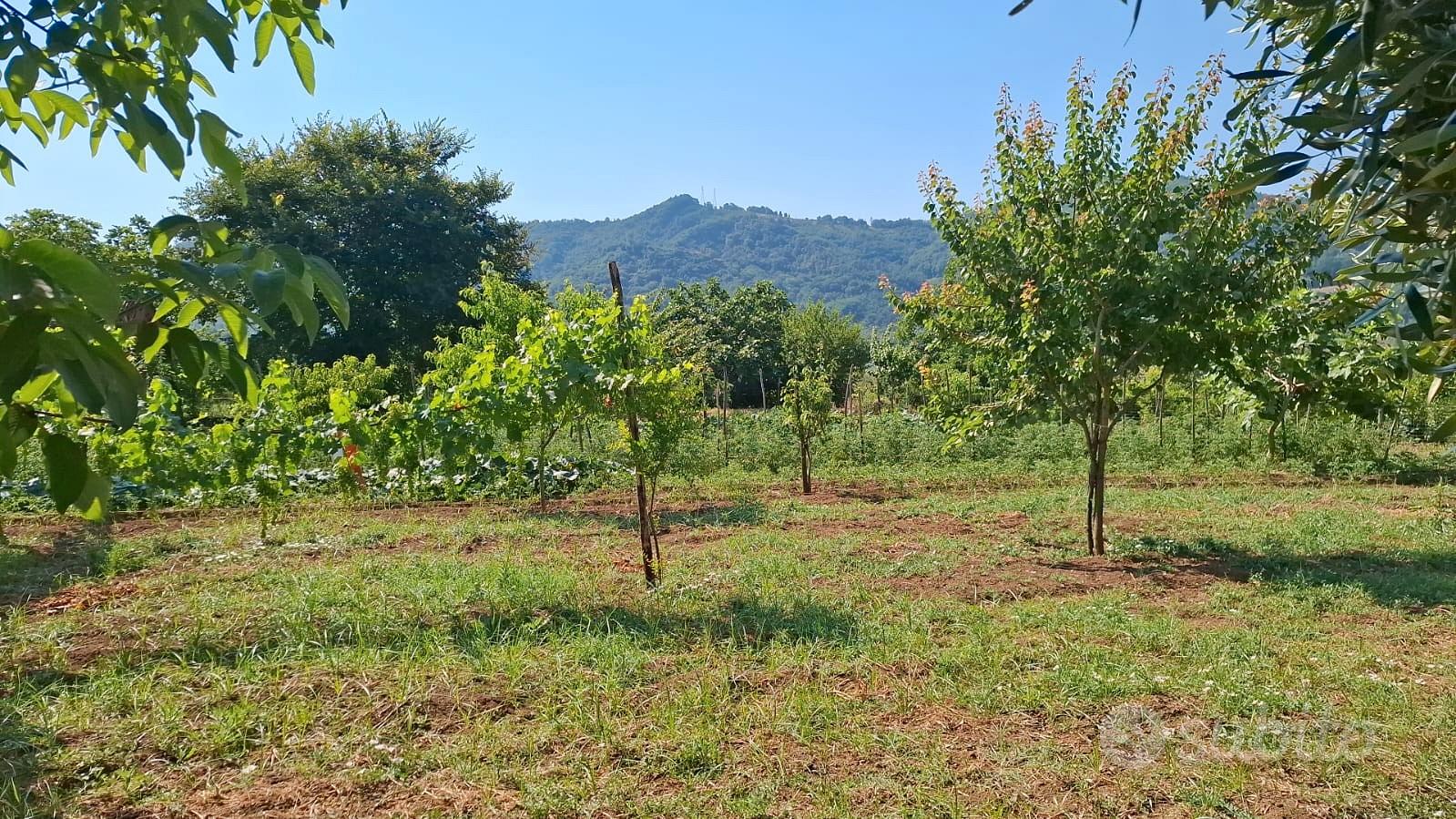 Terreno Località Pastorano - Vista 2