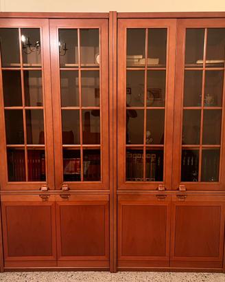 Mobile salotto e vetrina libreria in legno
