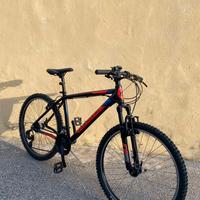 mountain bike montana