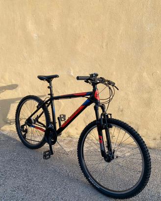mountain bike montana