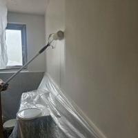 Pitture stagionali con buon prezzo