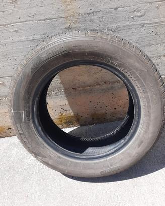 Gomme Momo