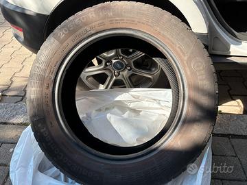 PNEUMATICI 2056016 ECOSPORT ECOCONT 5BOX5