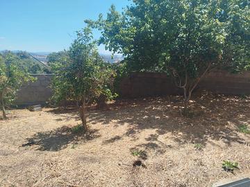 Ruinas indipendente libera su 4 lati