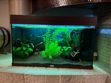 Acquario juwel 125