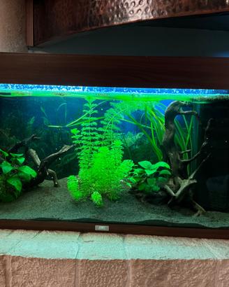 Acquario juwel 125