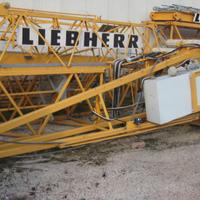LIEBHERR 30LC-anno h24 braccio35 A TORRE