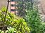 Immagine 26