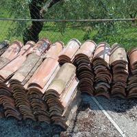 coppi romani antichi per tetto