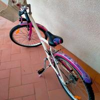 2 bici da bambina 
