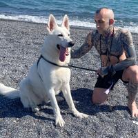 Pastore svizzero femmina per monta con il mio ares