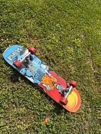 Skateboard Blind