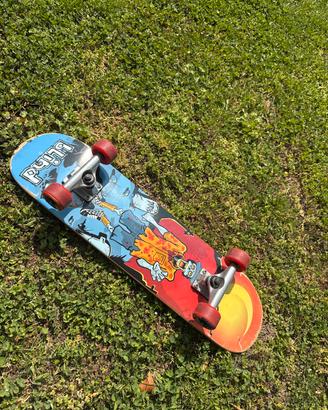 Skateboard Blind
