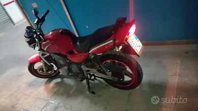Kawasaki ER-5-500- 2004  Per veri intenditori 