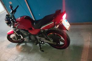 Kawasaki ER-5-500- 2004  Per veri intenditori 