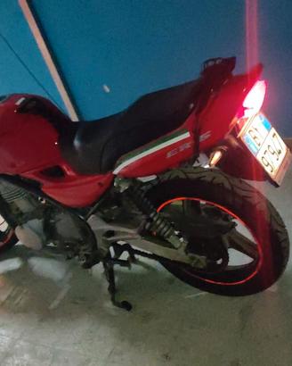 Kawasaki ER-5-500- 2004  Per veri intenditori 