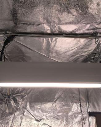 Lampada led Igrox Taurus S 200w