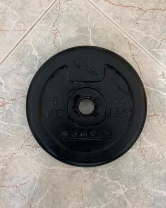 4 dischi gommati da 5kg