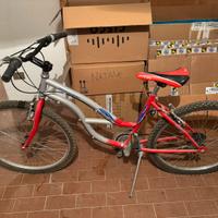 Bicicletta mountain bike