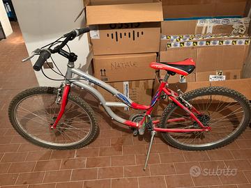 Bicicletta mountain bike