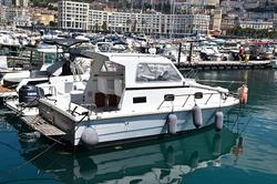 Deltamar regg 25 pesca sportiva nuovo prezzo