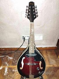Mandolino elettrico stagg