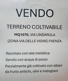 Terreno coltivabile