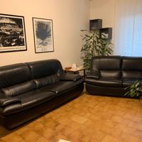 Divani in pelle
