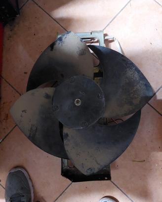 Ventola 