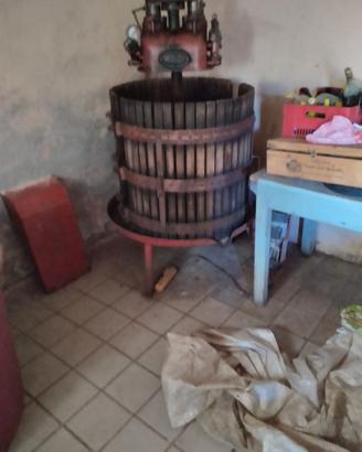 torchio per uva