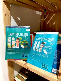 Libri inglese oxford liceo