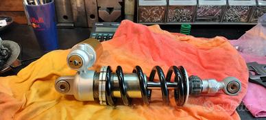 ammortizzatore Dorsoduro 750 900