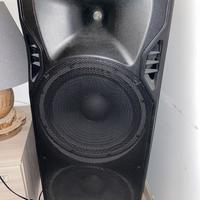 Cassa Amplificata professionale