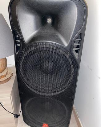 Cassa Amplificata professionale