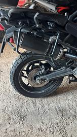Tiger 800 scarico SC