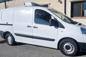 Furgone frigorifero isotermico peugeot expert