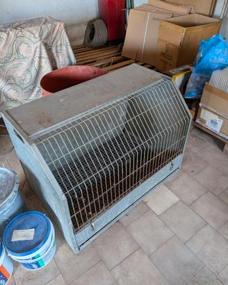 Box lamiera trasporto cani