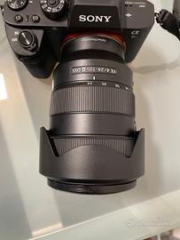 Sony 24-105 f 4 G OSS