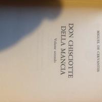 Don Chisciotte della mancia