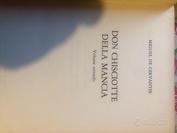 Don Chisciotte della mancia