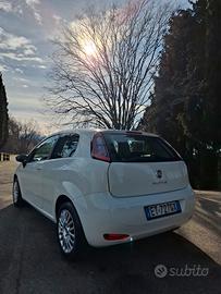 punto evo