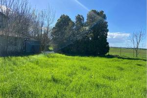 Rustico / Casale di 1083 m² con più di 5 locali a 