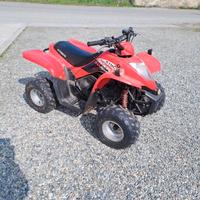Quad 50cc