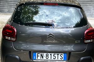 Citoren c 3 III shine 2018