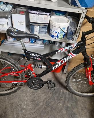 bicicletta mountain bike ragazzo 12 -15 anni